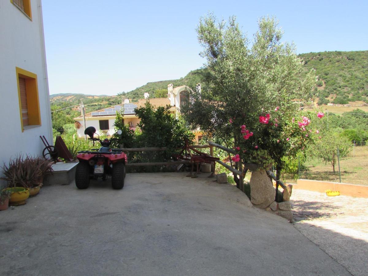Ferienwohnung Estate In Ogliastra Sa Figumoru 5 Minuti Al Mare Bari Sardo Exterior foto